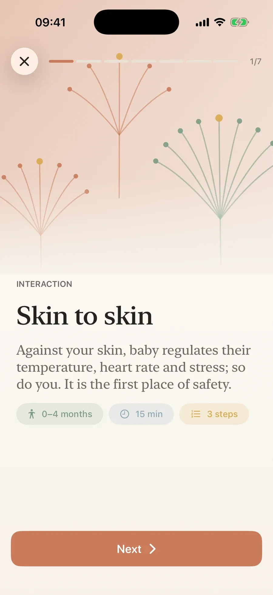 Activity “Skin to skin”, steps laid out like a recipe